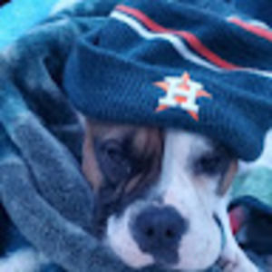 Meet your Posher, Dominic